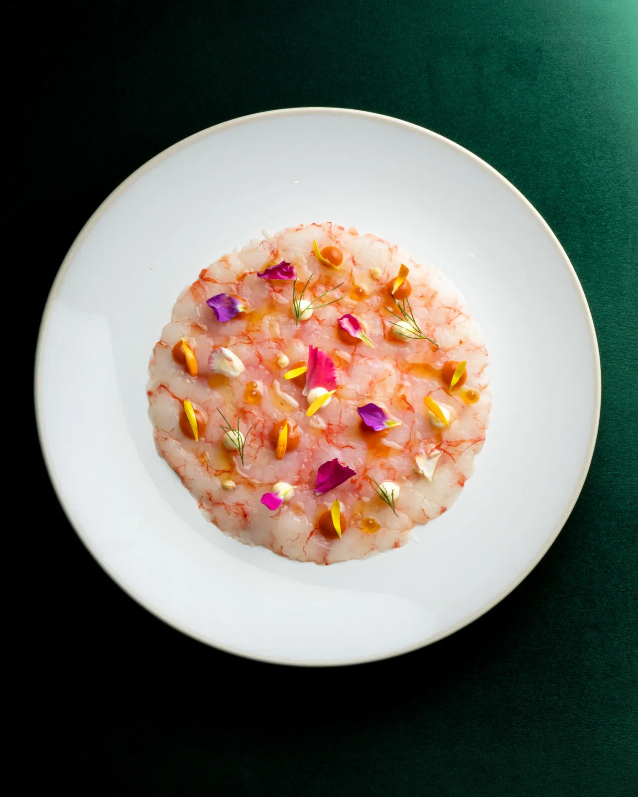 Carpaccio con flores comestibles sobre fondo verde