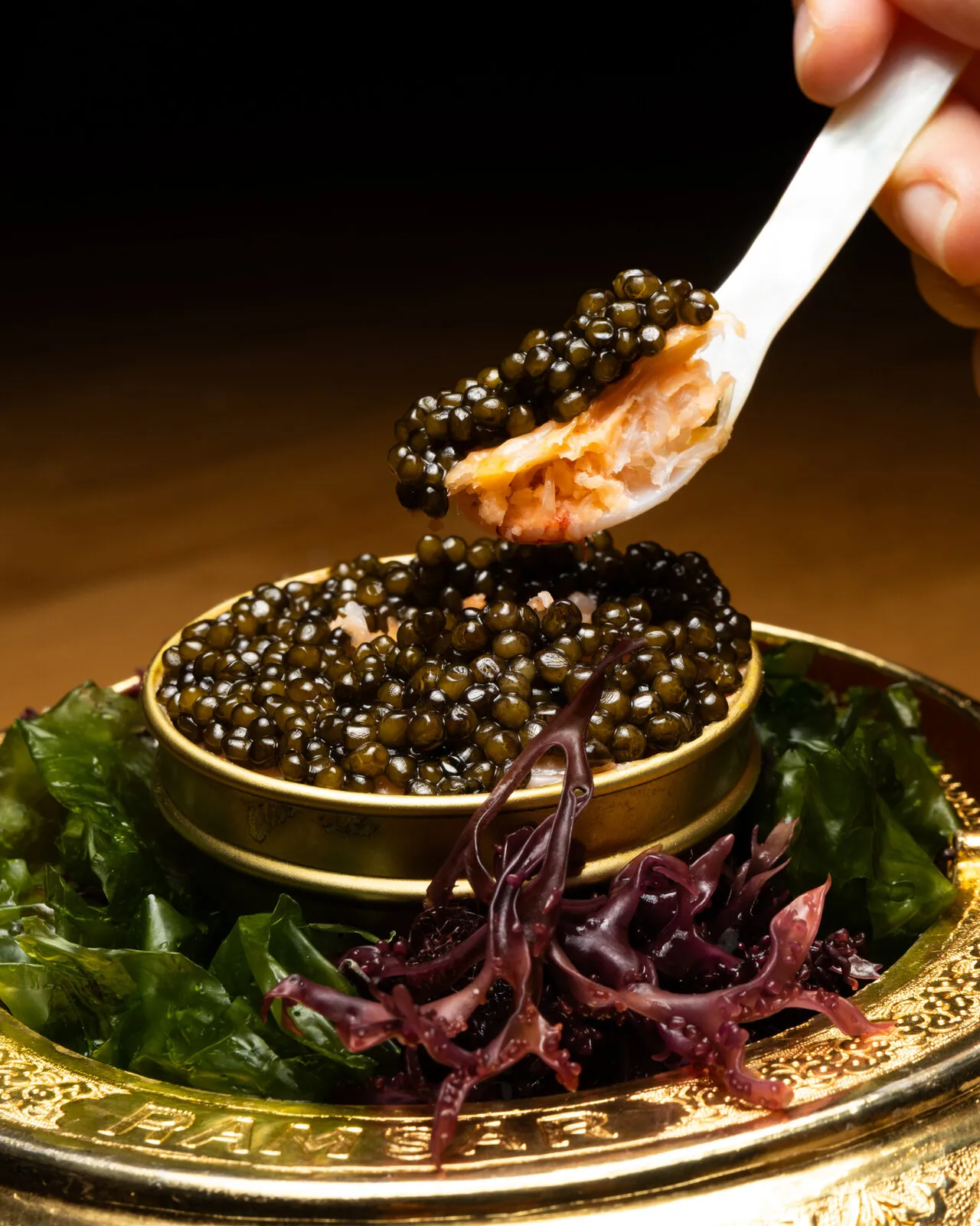 Cucharada de caviar sobre una lata dorada
