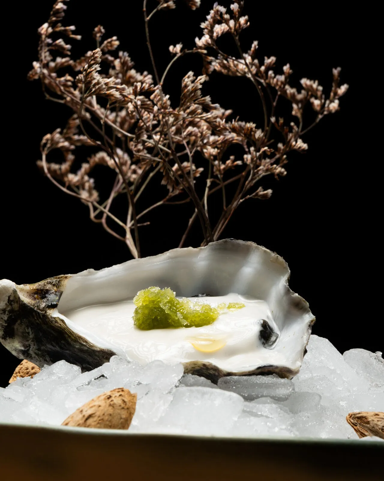 Ostra sobre hielo con ramas secas